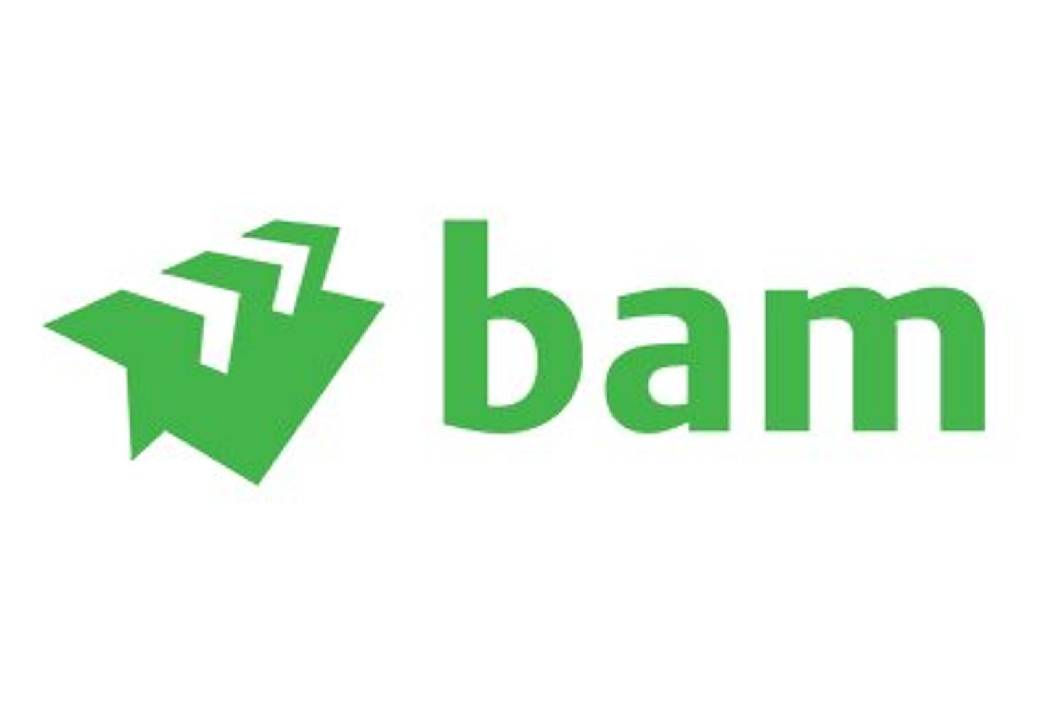 logo-BAM
