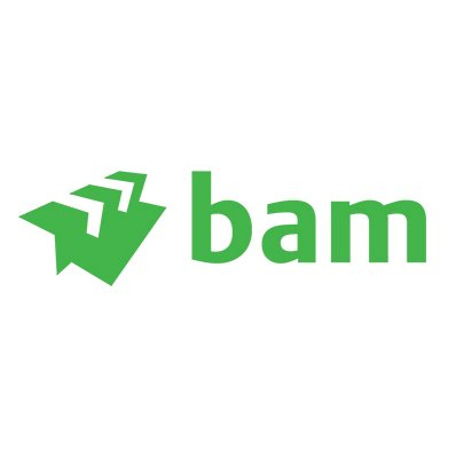 logo-BAM