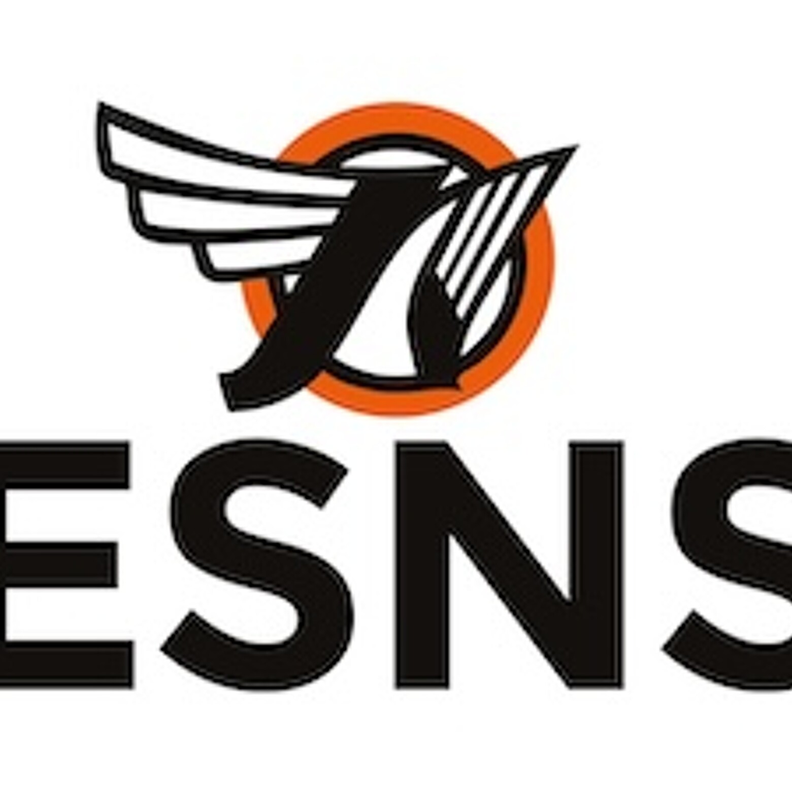 esns-logo